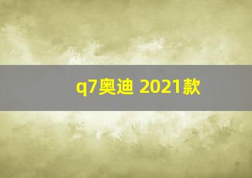 q7奥迪 2021款